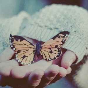 性交口交换妻做爱视频网站
