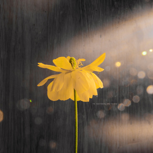 性交口交换妻做爱视频网站
